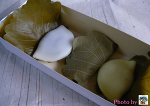和菓子老舗『賣茶翁(ばいさおう)』の柏餅! 和菓子老舗『賣茶翁(ばいさおう)』の柏餅!